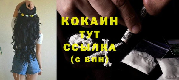 соль ск Лиски