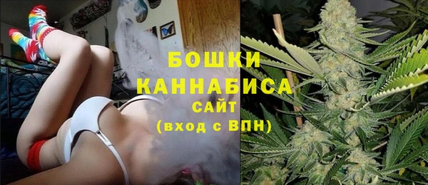 соль ск Лиски