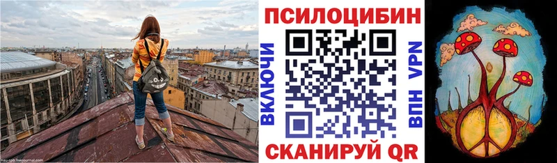 Псилоцибиновые грибы Psilocybe  Нижнеудинск 