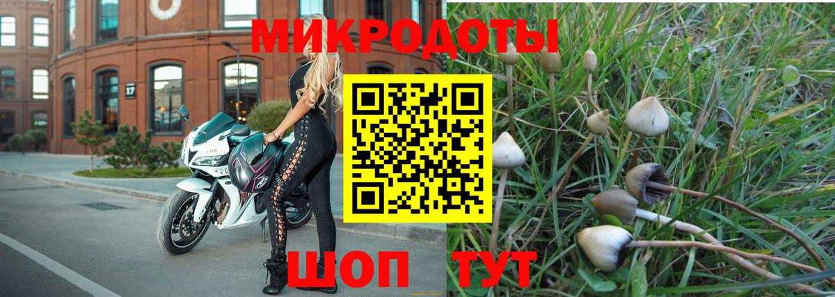 Нижнеудинск  Псилоцибиновые грибы мухоморы  Вход с VPN 